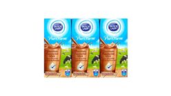 Dutch Lady UHT Milk Chocolate 6pcs
