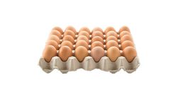 Chicken Egg Grade C 30pcs