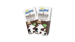 Goodday Chocolate Milk 2 x 250ml