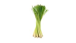 Lemongrass 1 Bunch