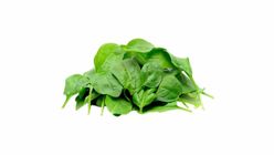 WS BABY SPINACH 100G