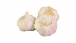 Premium White Garlic Kg.