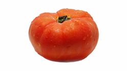 Tomato Xl Kg. 0.5kg
