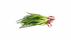 Samoa Spring Onion
