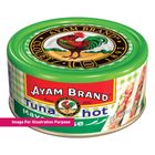 Ayam Brand Deli Tuna Hot 160g
