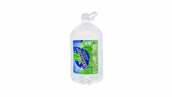 Summer Drinking Water (9.5L) | 15110092-EA