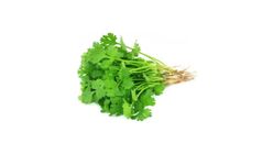 Coriander (Daun Ketumbar) Kg 0.1kg