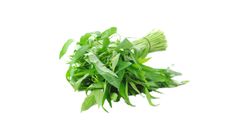 Kangkung Kg