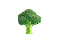AUST BROCCOLI KG