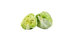 Iceberg Lettuce ±1Kg