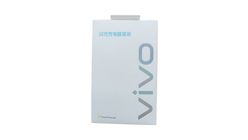 Vivo Original 66W Type C Charger 1pc
