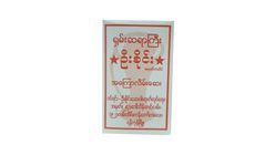 U Sai Pain Relief Tropical Analgesic 1 Piece