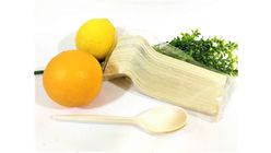 MM Disposable Spoon Disposables & Partyware 50pcs