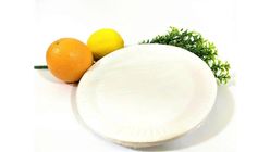 MM Disposable Plate Disposables & Partyware 20pcs