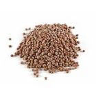 Daal Malka Masoor 1kg