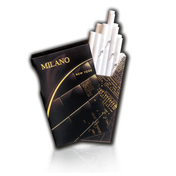 cigarette lighter pipe Pipe Brushed Chrome Windproof Lighter – Zippo USA