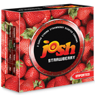 Josh Strawberry 1 Piece