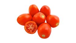 Tomato Regular 500 gr - 20099