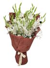White Gladiolus With Baby's Breath 12 Piecess