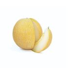 Melon Garma 1 Piece
