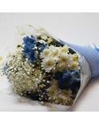 Blue Breezee 1 Bouquet