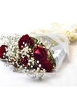 Simple Love 1 Bouquet