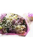 Pink Mesh 1 Bouquet