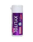 Xylitol Bluberi Mint 1 Unit