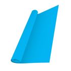 Hard Chart Paper Light Blue 1pc