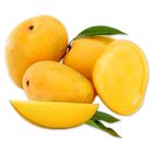 Mango Chaunsa 500g