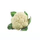 Cauliflower Phool Gobi Piece (Pakistan) 1 Bunch