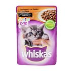 Whiskas Junior Kitten 2-12 Months 100g