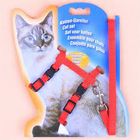 Cat Harness 1 Piece