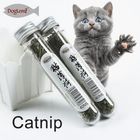 Catnip Tube Bottle 1 Piece
