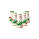 Dutch Mill Delight Probiotic Drink Fiber 5 x 100ml