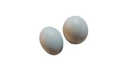 Fresh Duck Egg 30 Pieces
