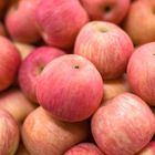 Apple - Fuji 5pcs
