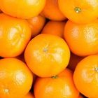 Orange - Asian Navel 3pcs