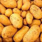Potato 500g
