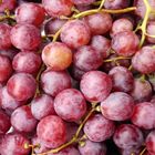 Grapes 1kg