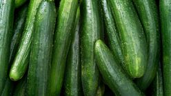 Cucumber 500g