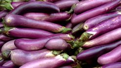 Eggplant 500g