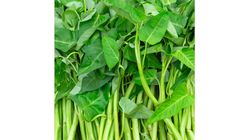 Kangkong 250g
