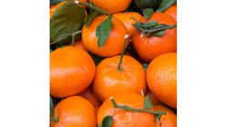 Orange - Mandarin 5pcs