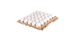 Tray of Egg Large Size 30 Pieces