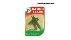 Ramgo Seeds Ampalaya 6g