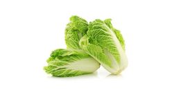 Chinese Cabbage 1kg