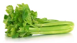 Celery 1kg