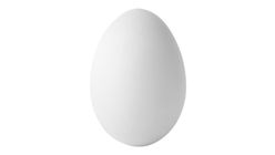 Fresh Egg (Jumbo) | 12 Pieces