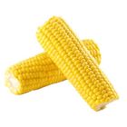 Sunnyphil Corn 1 Piece - 127739